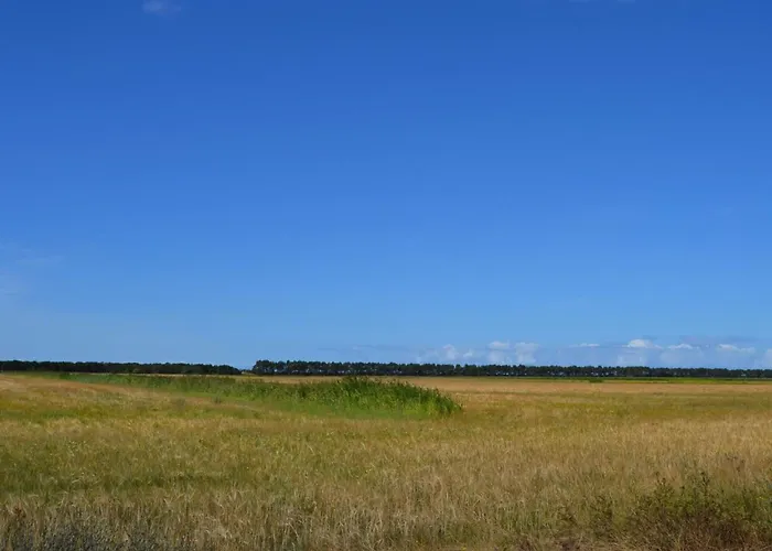 Casa vacanze Anna - 1km From The Sea By Interhome Vesterhede